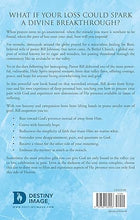 Load image into Gallery viewer, Removing the Sting of Death - Bill Johnson