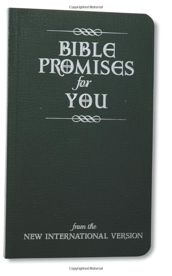 Bible Promises for You (NIV)
