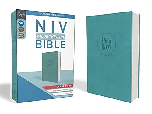 Bible NIV Value Thinline Leathersoft