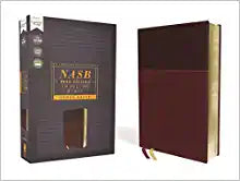 NASB Thinline Bible/Large Print 2020 Edition - Burgundy Leathersoft